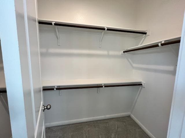 Building Photo - 221 Arabian Colt Dr