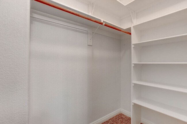 Building Photo - 809 Royal Birch Ln