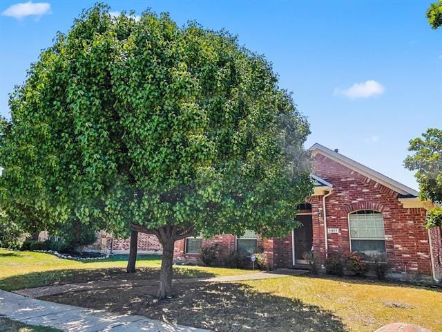 Building Photo - 11877 Del Rio Dr