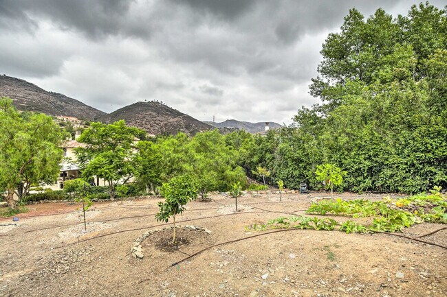 Building Photo - 7717 La Orquidia