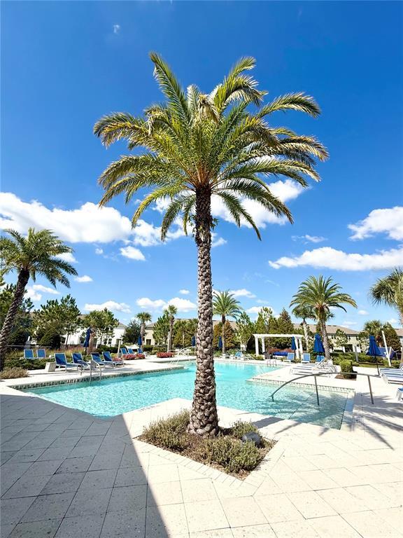 Building Photo - 3228 Painted Blossom Ct