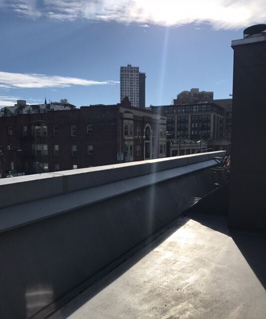 Building Photo - Portofino Condominiums ~ Capitol Hill