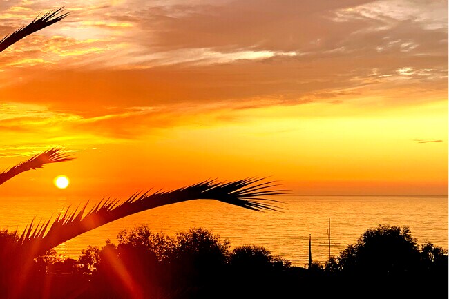 Building Photo - 7080 Via del Mar