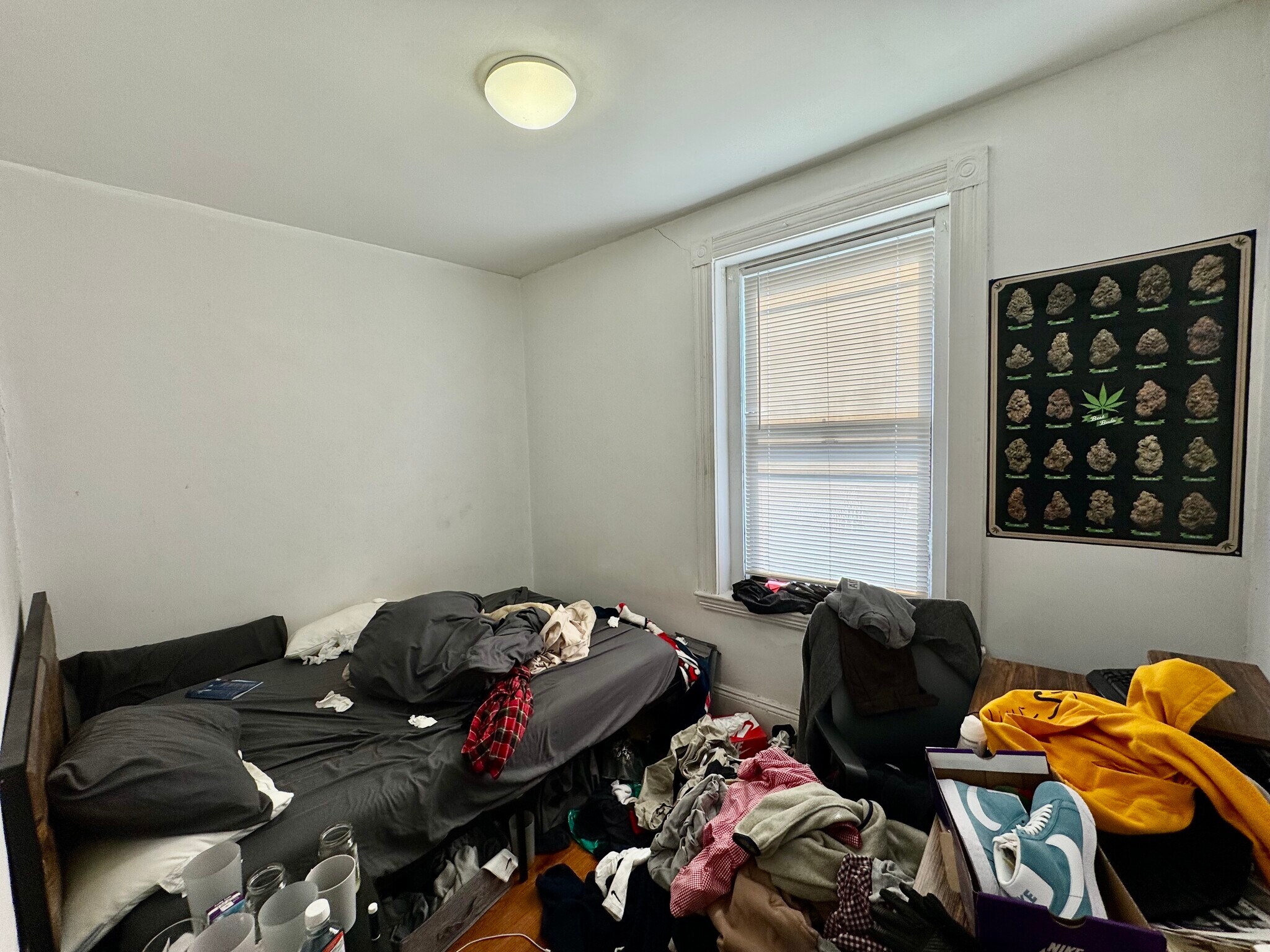 Building Photo - 872 Huntington Ave