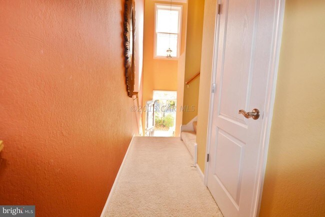 Building Photo - 11958 W War Dancer Ln