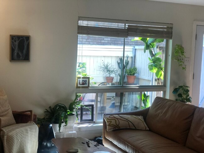 Patio view from kitchen - 2710 Douglas Ave