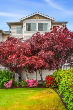 Primary Photo - Updated Townhouse in Lynnwood-with Garage ...