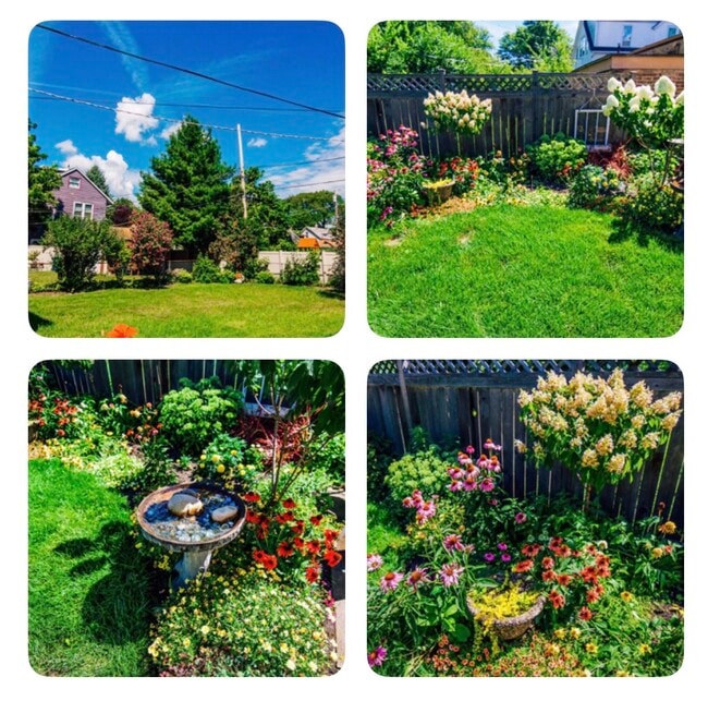 Landscaped yard - 1519 Greenleaf St