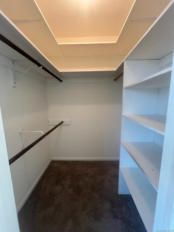 Building Photo - 816 Temple Hill Rd