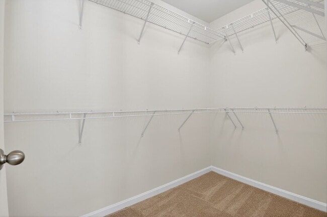 Building Photo - 5023 Village Fountain Pl