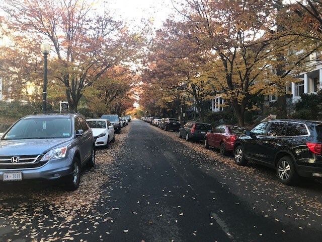 Lamont Street - 1843 Lamont St NW