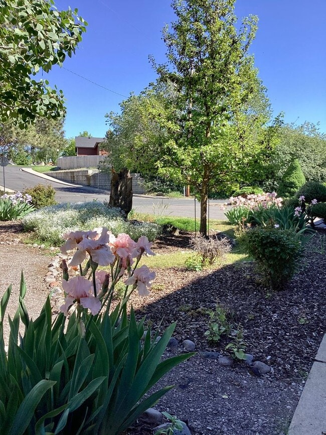 Primary Photo - Cute 2 bed 1 bath apartment in nice neighborhood