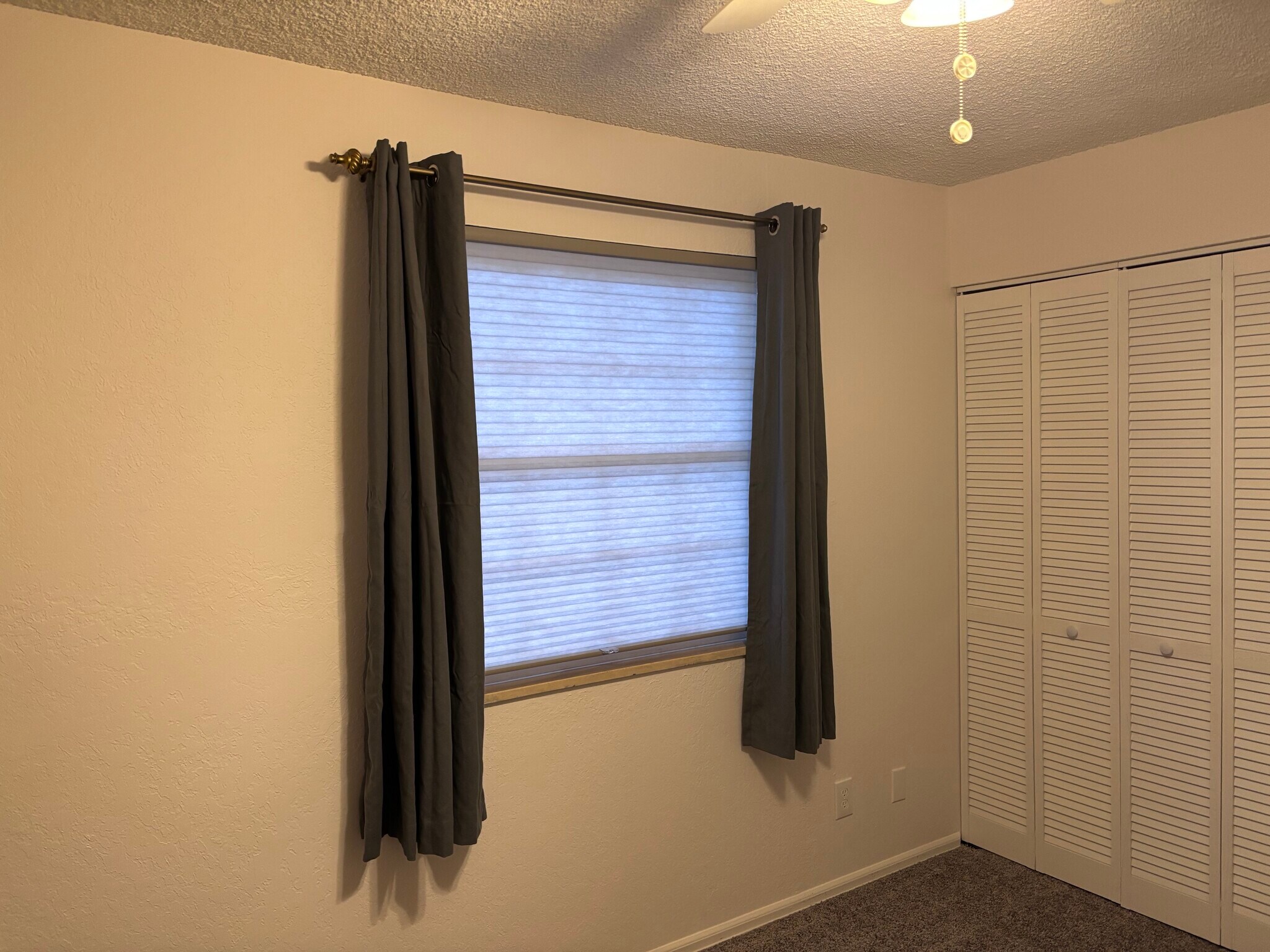 All windows have blinds and curtains - 3250 Oneal Cir