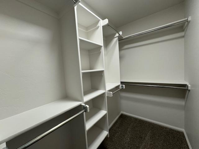 Building Photo - 2421 Finesilver Ln