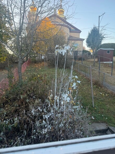 Backyard - 704 Ridge St