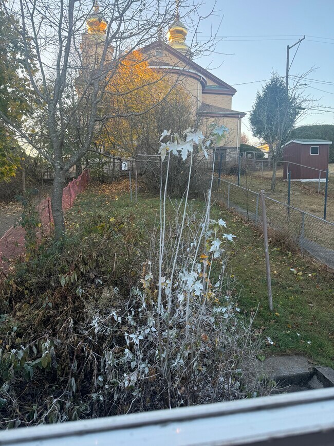 Backyard - 704 Ridge St