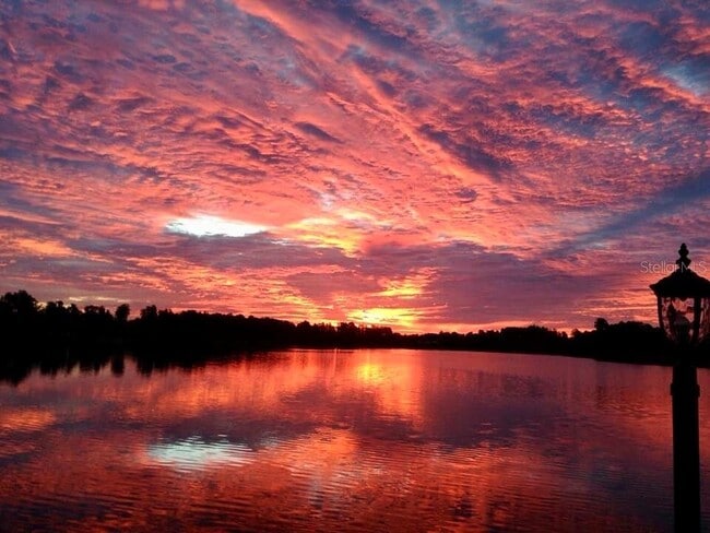 Building Photo - 11453 Belle Haven Dr