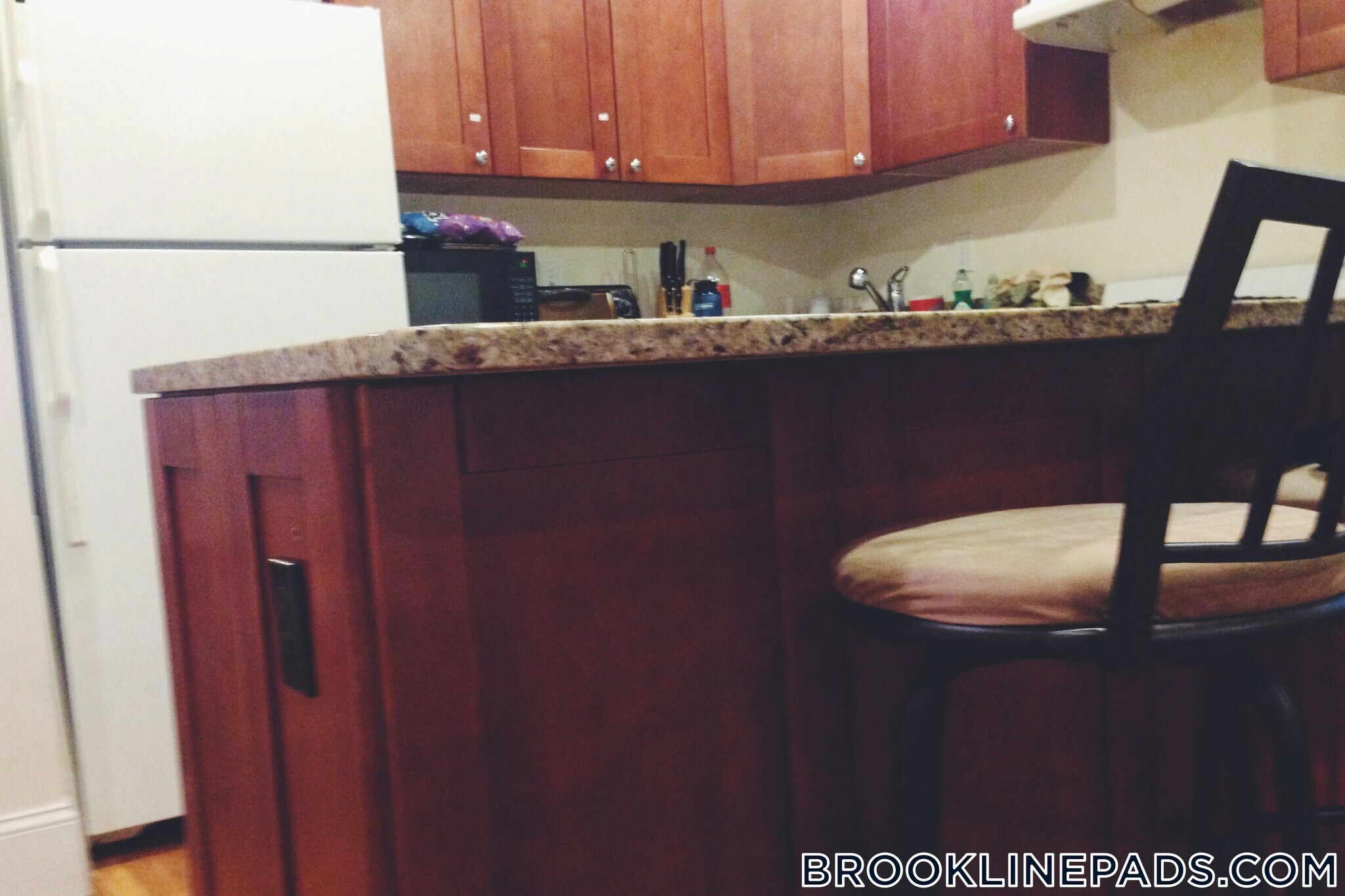 Building Photo - 62 Egmont St