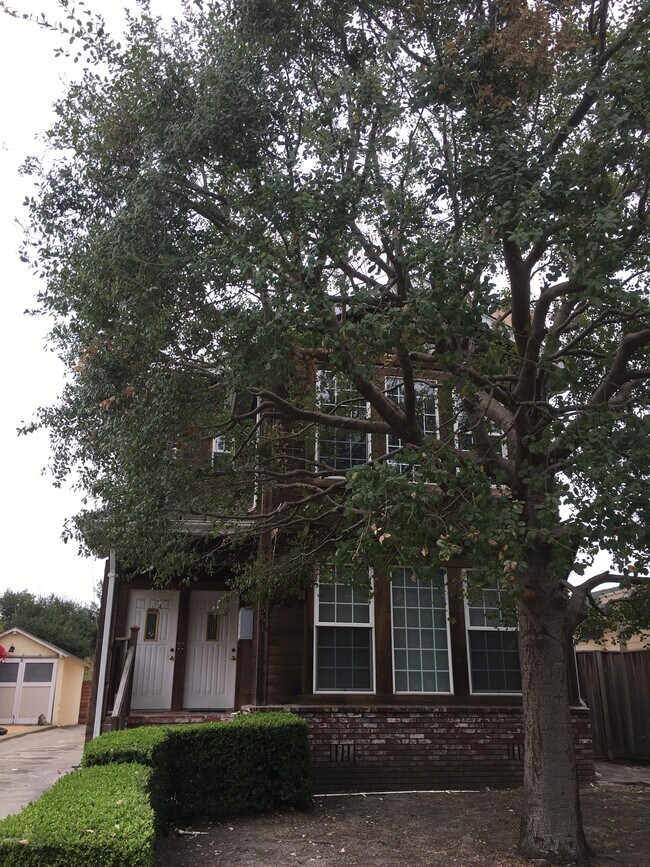 Building Photo - 551 59th Street