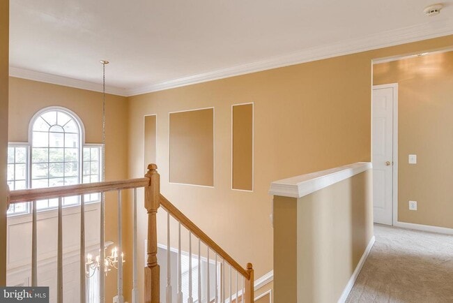 Building Photo - 12798 Thacker Hill Ct