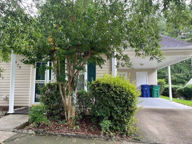 Primary Photo - 1315 Triple Tree Ln SW