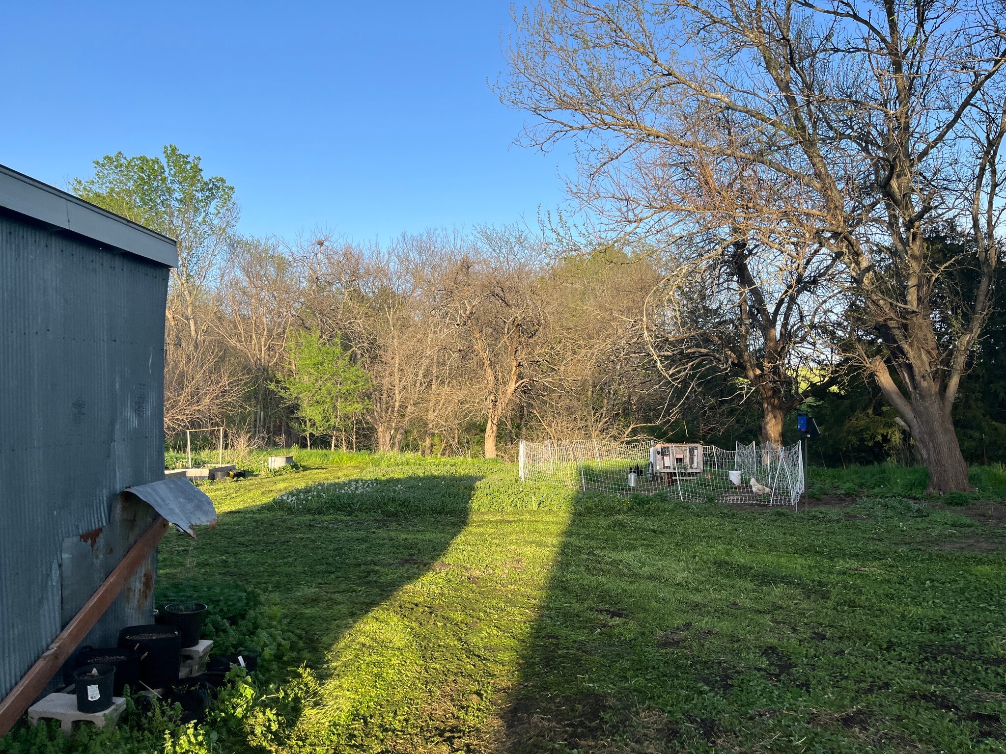 Building Photo - 9845 Evening Star Rd