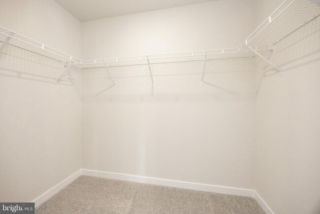 Building Photo - 245 Talucci Dr