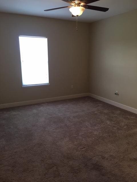 Building Photo - 503 Arbor Lake Dr