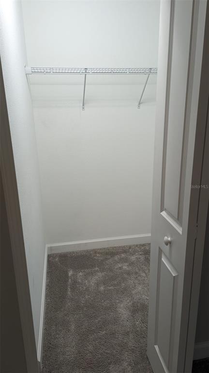 Building Photo - 1384 White Fox Run