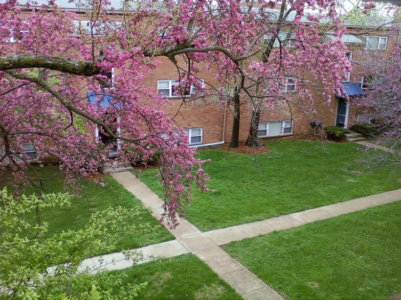 courtyard - 1826 N Star Rd