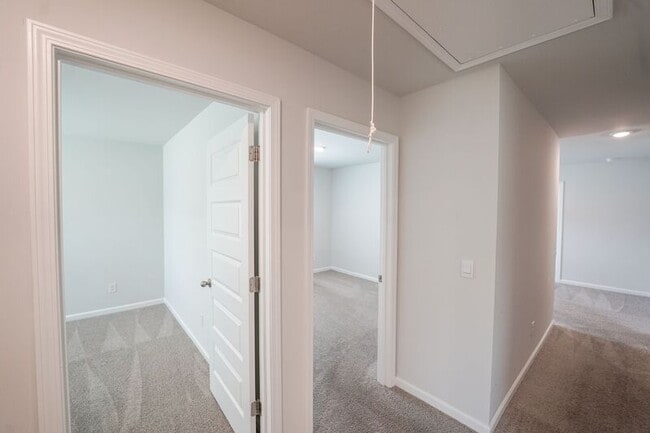 Building Photo - 459 Coconut Dr