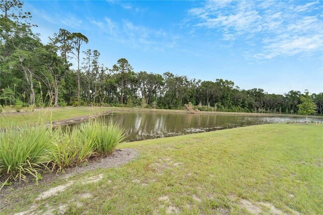 Building Photo - Newly built modern home in Lakeland!