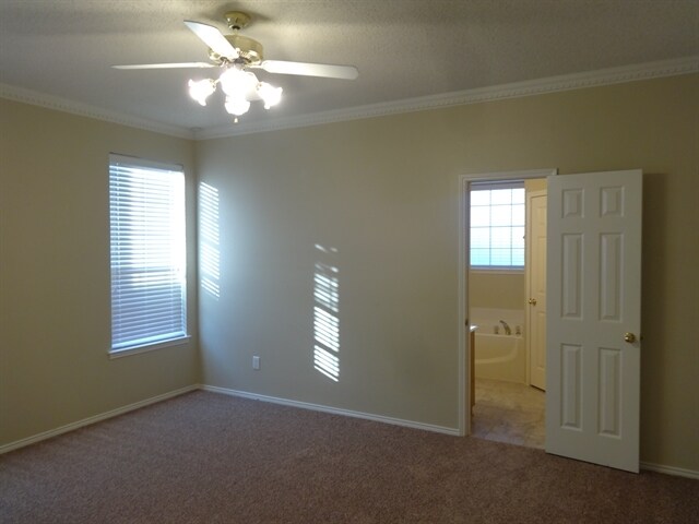 Building Photo - 2937 Timber Creek Trail