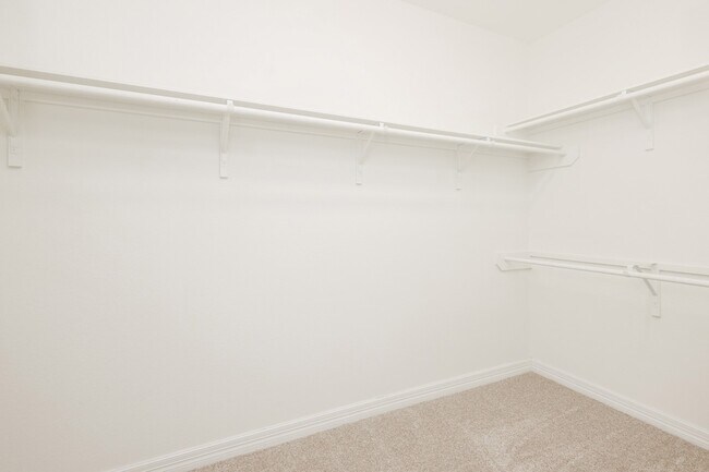Building Photo - 2119 Stargrass Dr