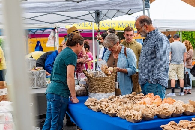 Building Photo - 1156 Black Oak Cir