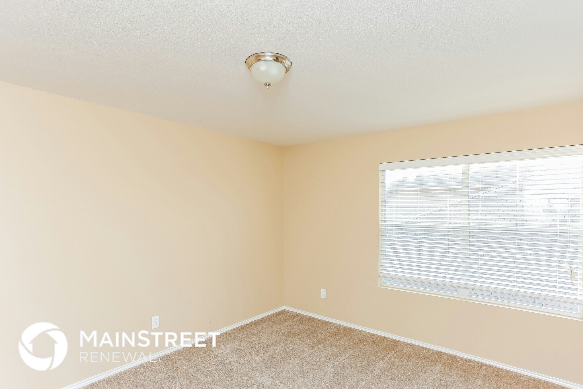 Building Photo - 113 Franklin Ct