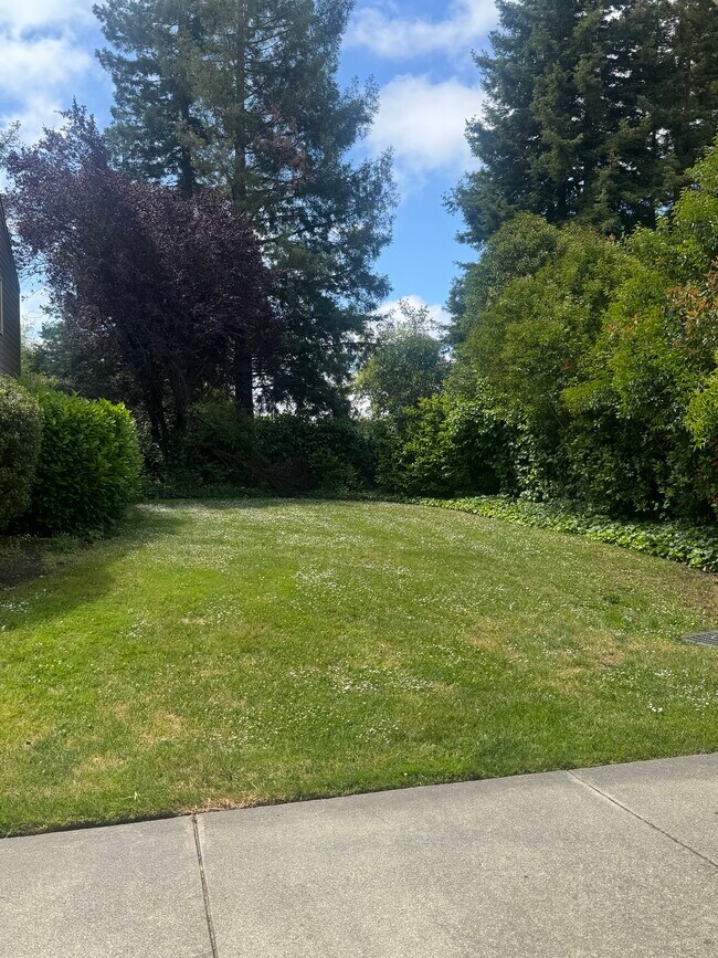 Grass Patch - 233 Enterprise Dr