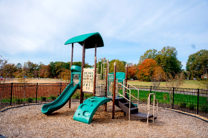 Building Photo - 217 Giant Oak Ave