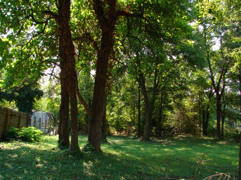 Building Photo - 5402 St Barnabas Rd