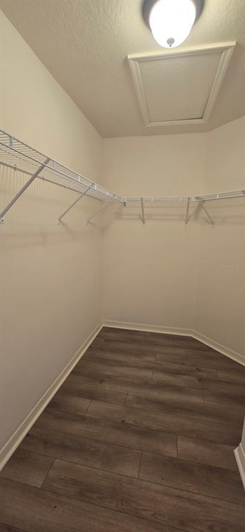 Building Photo - 2577 Lindewood St