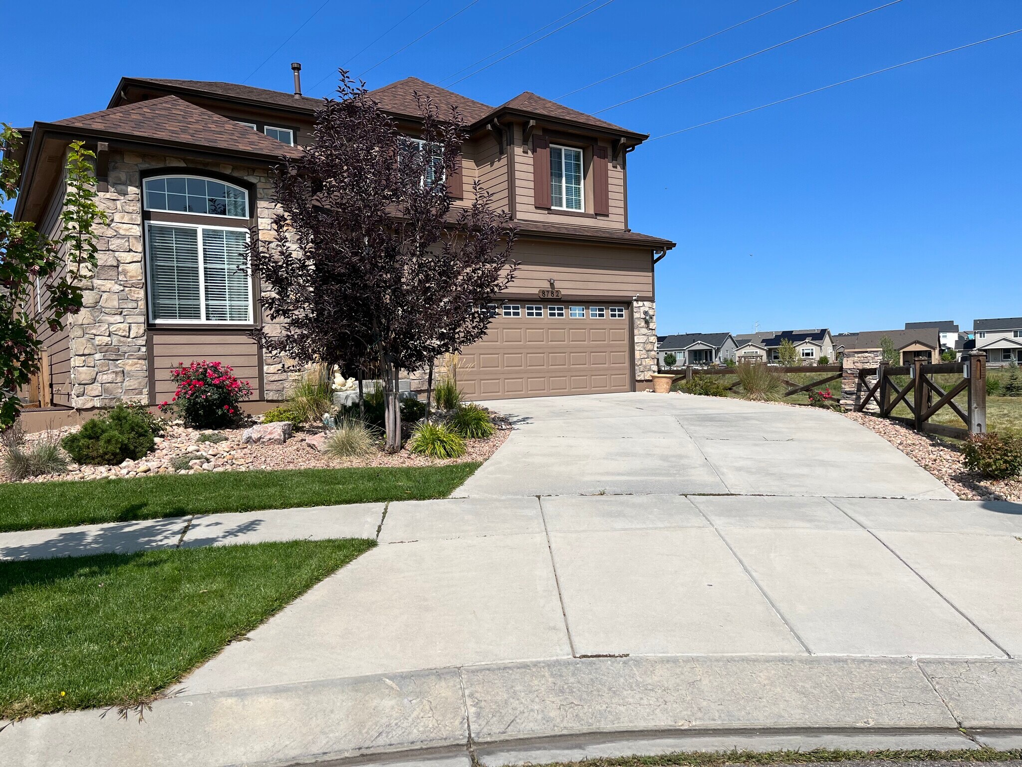 Current front yard photo - 8782 Windy Plains Ct