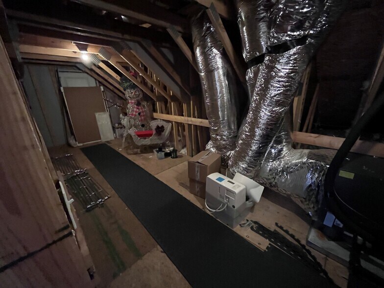 Attic - 7736 Tranquil Trl