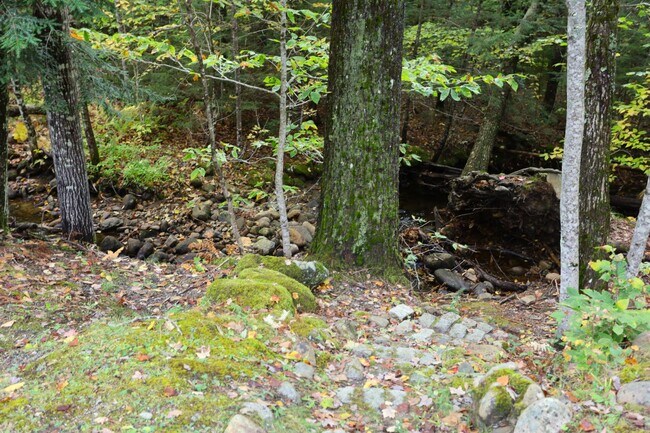 Building Photo - Seasonal 6 Month Lease Available! Charming 2-bedroom, 2-bathroom townhouse at Winterbrook Village