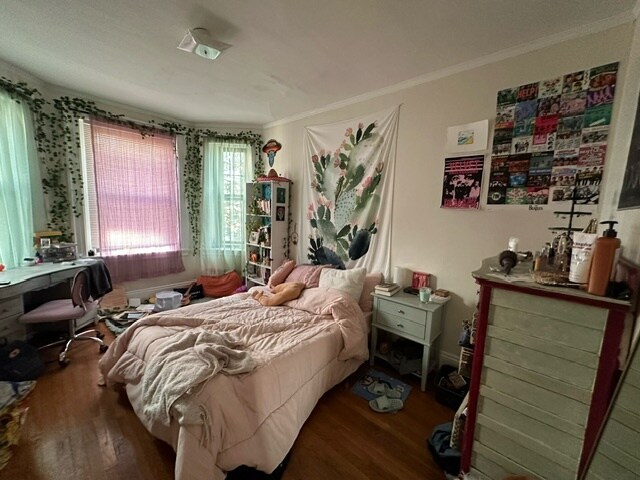 Building Photo - 46 Babcock St