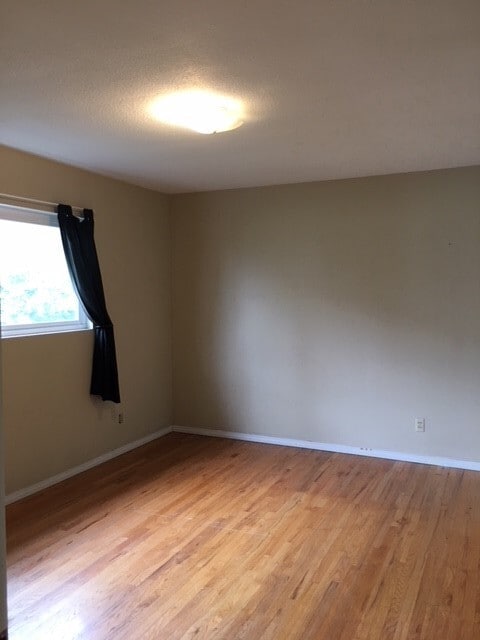 Building Photo - Beautiful Three Bedroom One and half Bath ...