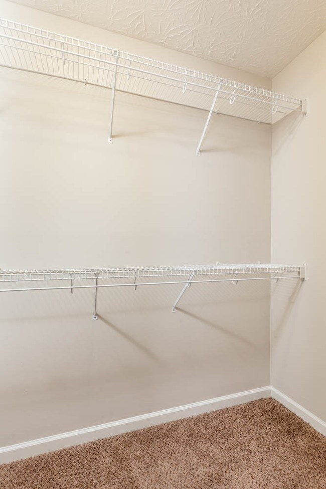 Building Photo - 300 Elkchester Cir