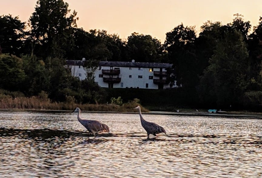 Lakeshore Hilltop Apartments 10950 Highland Rd White Lake MI 48386