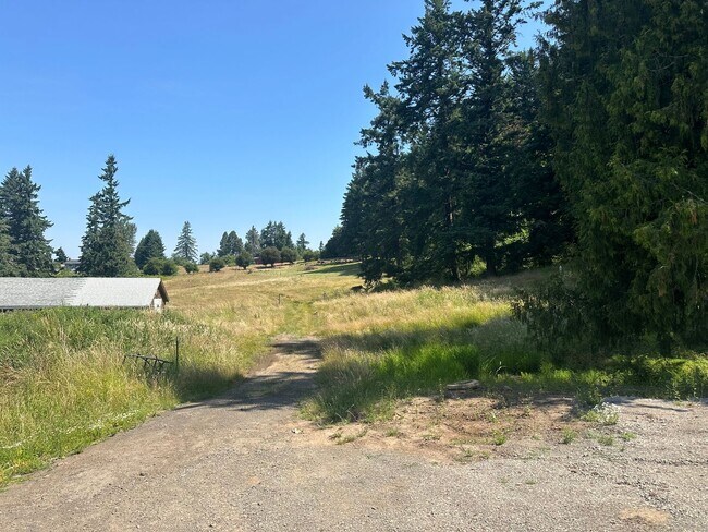 Building Photo - Beautifully Refreshed Home on Several Acre...