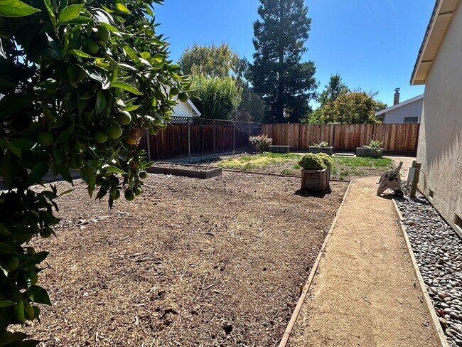 Building Photo - Beautiful Home in Great Neighborhood! Avai...