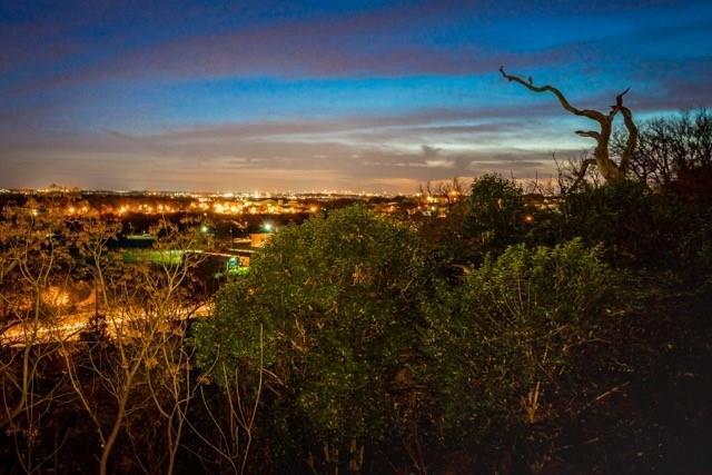 Building Photo - 2803 Crest Ave